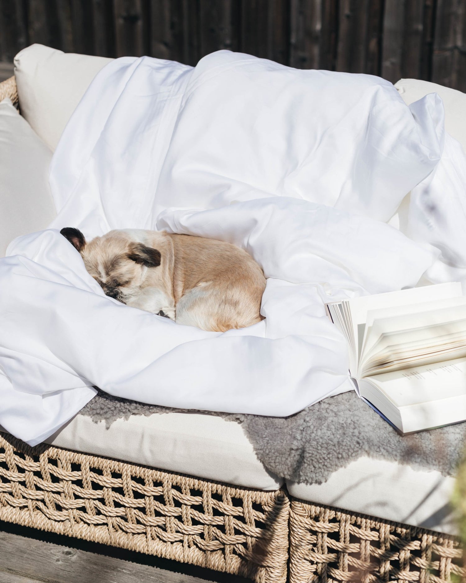 De Fyra Sömnstadierna - HIT THE HAY